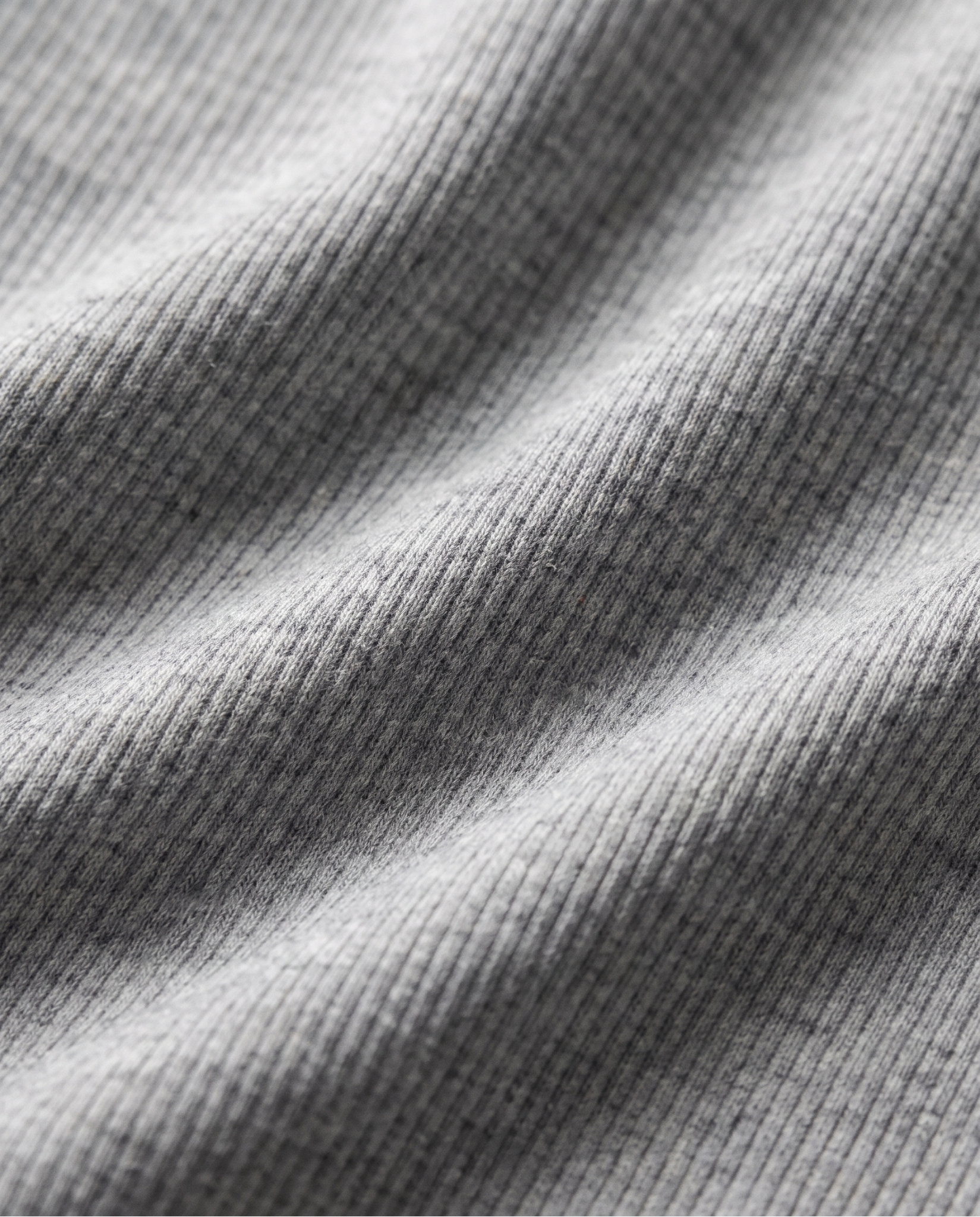 #couleur_gray